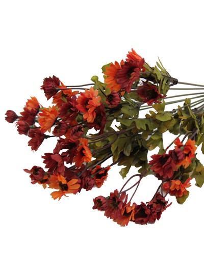 미니소국조화(오렌지)