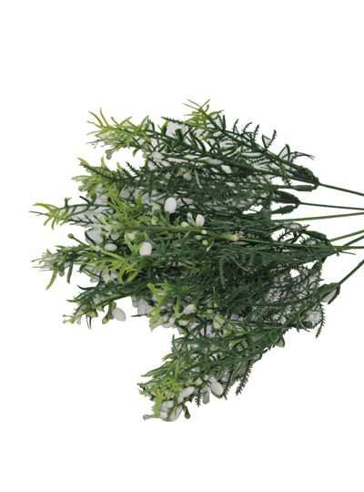 아스파라거스부쉬조화(화이트)