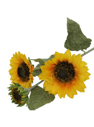 해바라기가지조화中