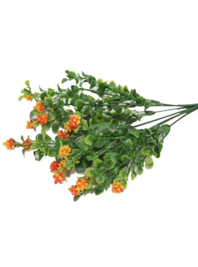 복분자조화(오렌지)