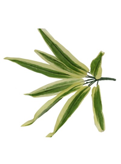 와네끼 조화(10개)