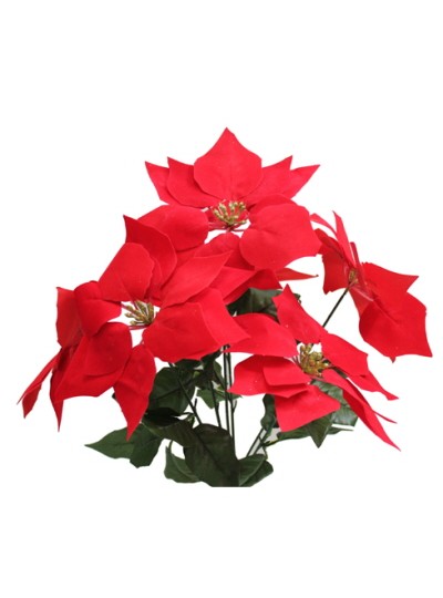 포인세티아大조화(5줄기)