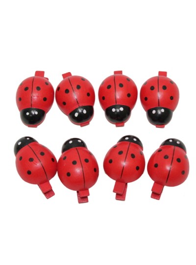 풍뎅이집게(8개)