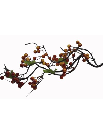 열매가지(빨강복합)