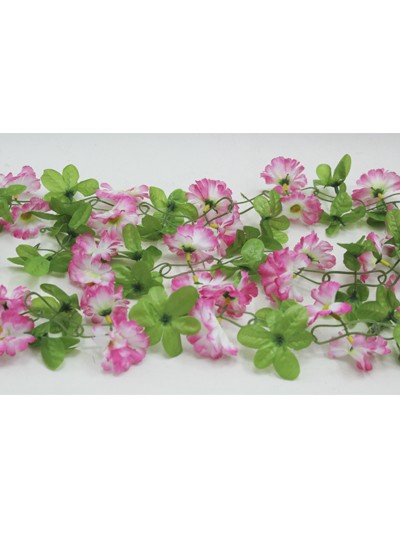 줄조화데이지(연핑크)