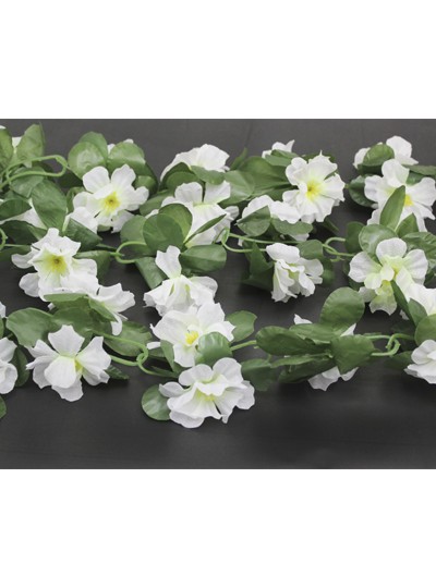 줄조화겹데이지(화이트)