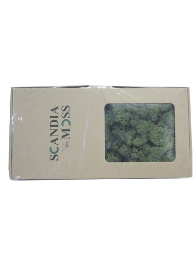 스칸디아모스(모스그린)500g