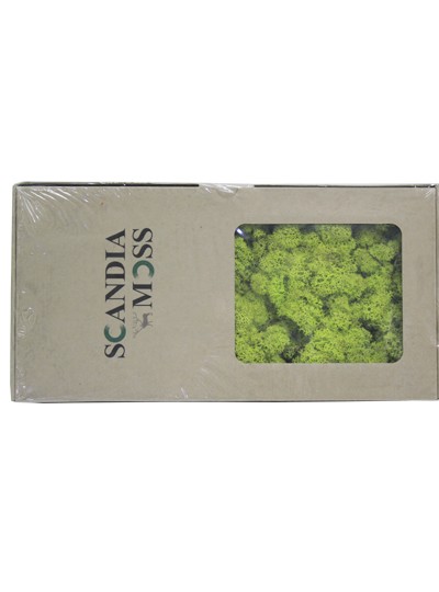 스칸디아모스(스프링그린)500g