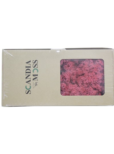 스칸디아모스(씨클라멘)500g