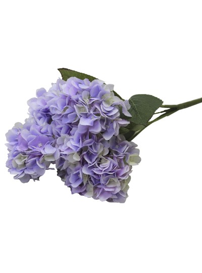 수국부쉬조화(파스텔보라)