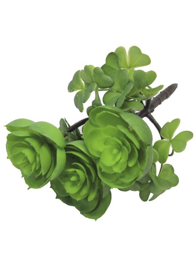 다육조화(백모단)그린