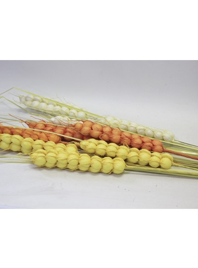 보리조화大(3개)