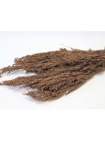 드라이플라워(브라운)