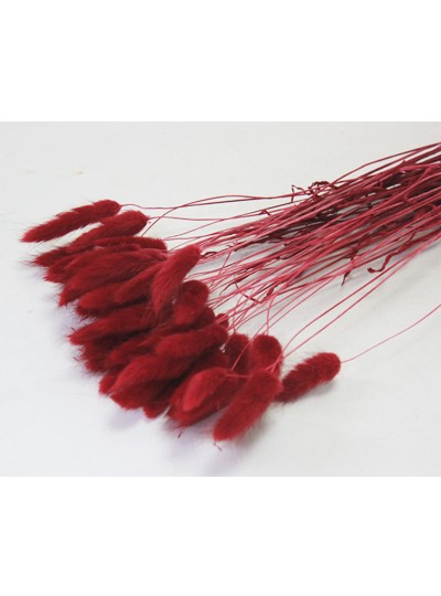 라그라스(빨강)