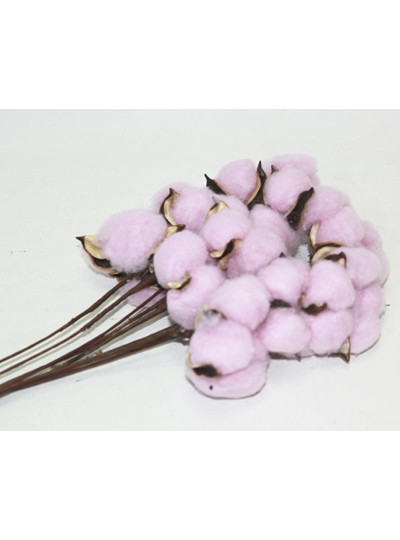 목화픽(핑크)10개