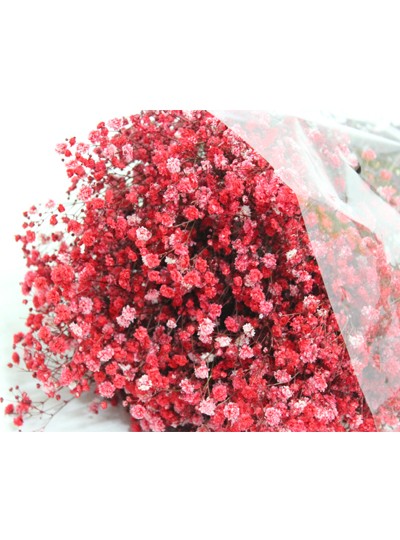 프리져브드안개(빨강)약380g