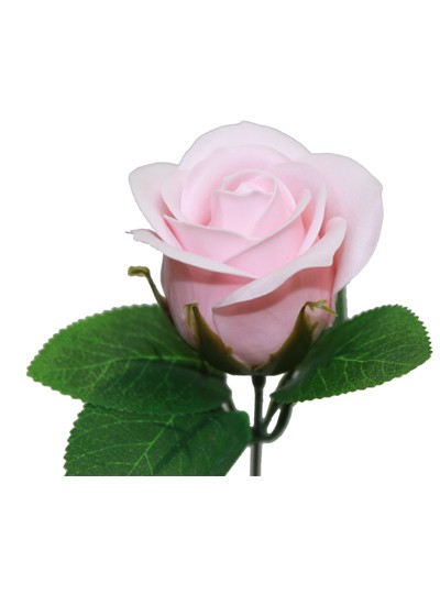 비누장미엘레강스후레쉬(연연핑크)50개