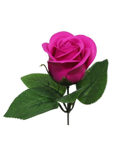 비누장미엘레강스후레쉬(체리핑크)50개