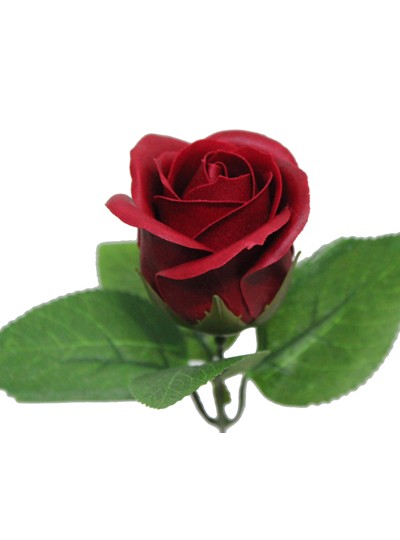 비누장미엘레강스후레쉬(진빨강)50개