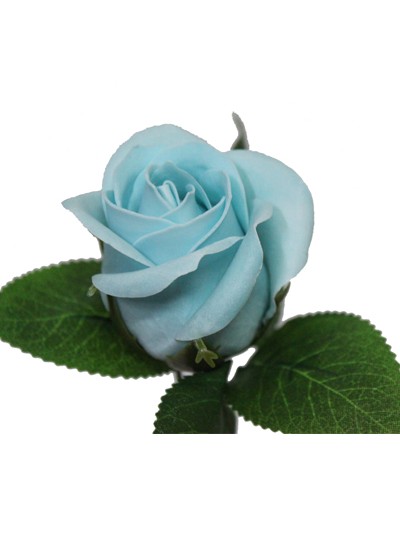 비누장미엘레강스후레쉬(연하늘)50개