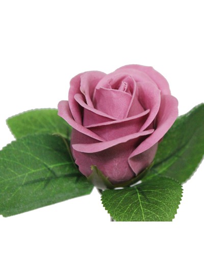 비누장미엘레강스후레쉬(체리블라썸)50개