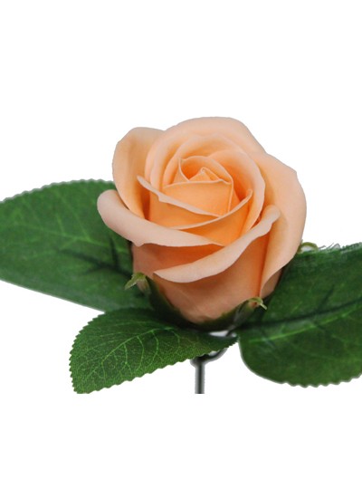 비누장미엘레강스후레쉬(샤벳오렌지)50개