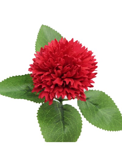 신)엘레강스 비누카네이션(빨강)50개