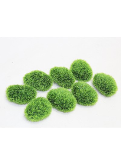 돌이끼(8개)7cm*5cm
