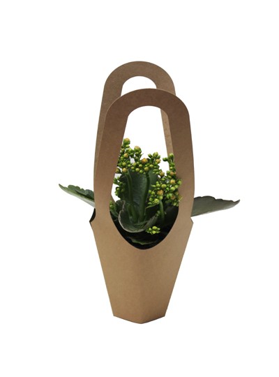 초화캐리어(10개)크라프트색