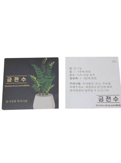 방수식물이름표(금전수)30장(7cm*7cm)