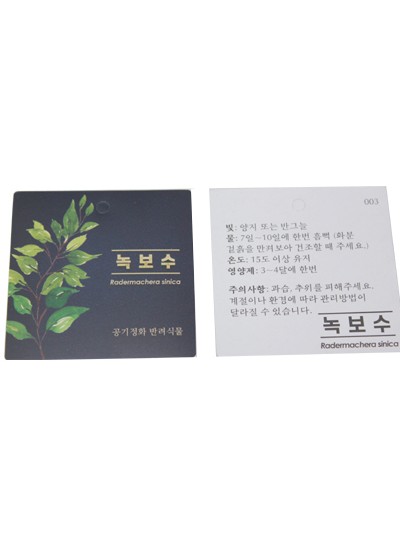 방수식물이름표(녹보수)30장(7cm*7cm)