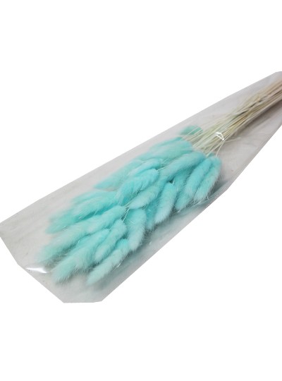 라그라스(하늘)