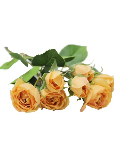 자나장미조화가지(파스텔오렌지)