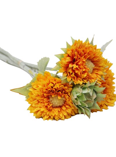 테디베어해바라기조화번들(노랑)