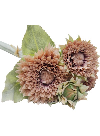 테디베어해바라기조화번들(블라썸)