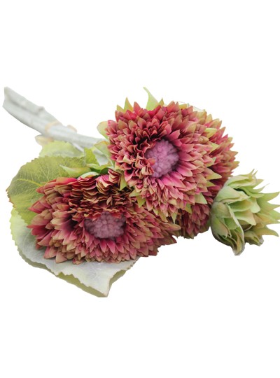 테디베어해바라기조화번들(핑크)