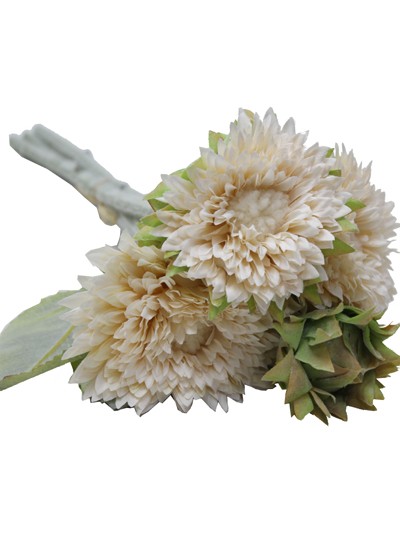 테디베어해바라기조화번들(아이보리)