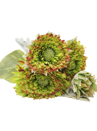 테디베어해바라기조화번들(그린)