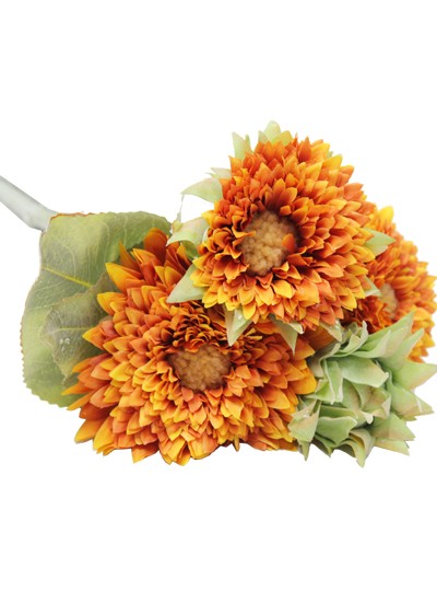 테디베어해바라기조화번들(오렌지)