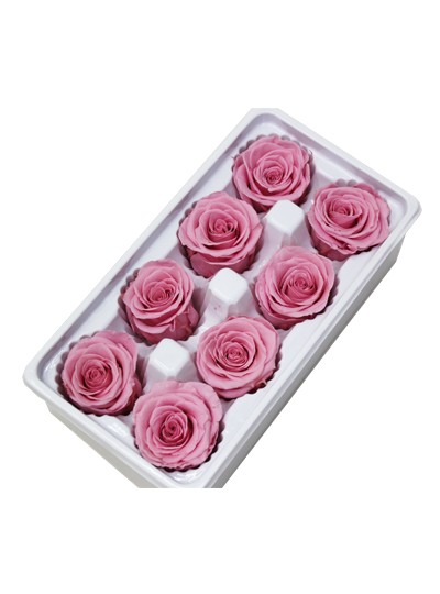 장미프리져브드(뉴욕핑크)