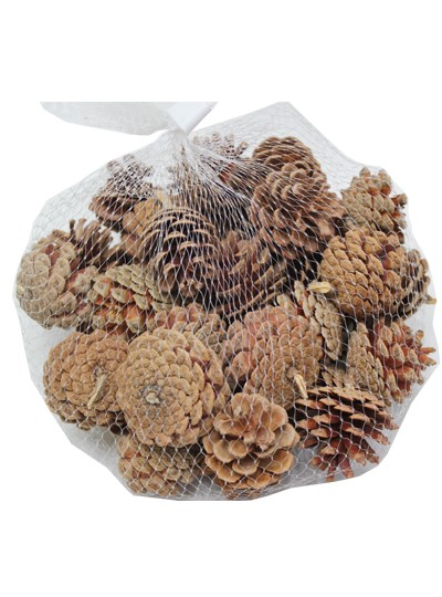 솔방울中(6cm)약40개