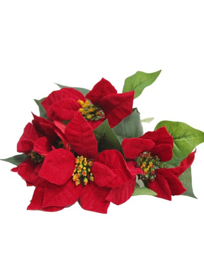 벨벳SM포인세티아 중(5줄기)총길이35cm(꽃크기15cm)