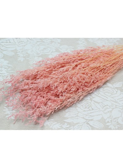 프리져브드 미스티블루표백(핑크)110g