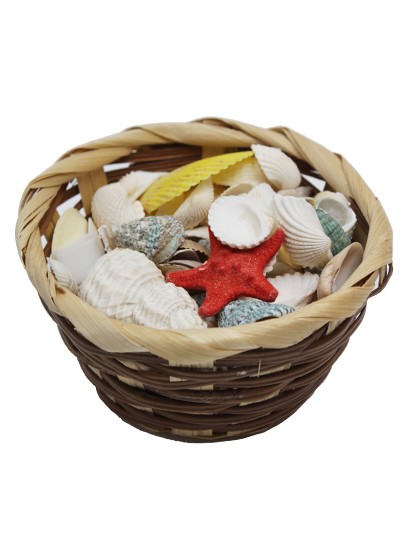 악세사리(조개외)약125개