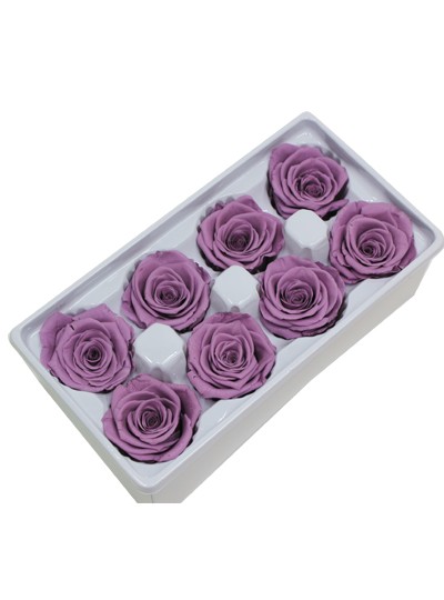 장미프리져브드(딥퍼플)8송이