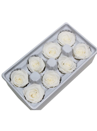 장미프리져브드(화이트)8송이