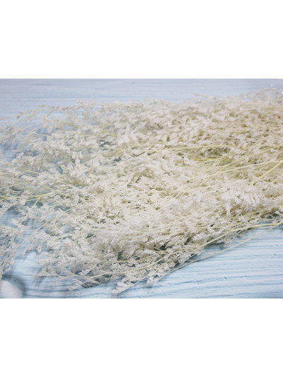 프리져브드 미스티블루표백(백색)110g