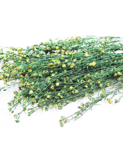 프리져브드 린플라워(그린)125g