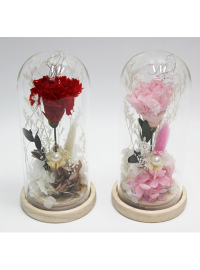 유리돔완제(프리져브드 카네이션)