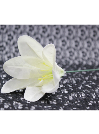 백합 화환용(아이보리)100개